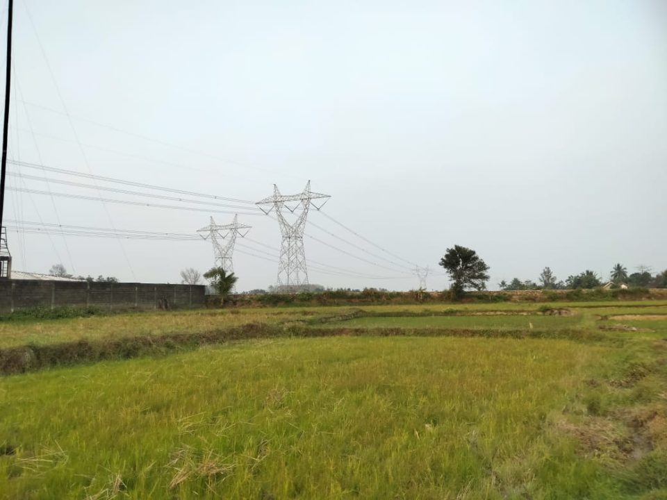Menara transmisi SUTET di area persawahan dekat pepohonan pasokan listrik Jawa-Bali